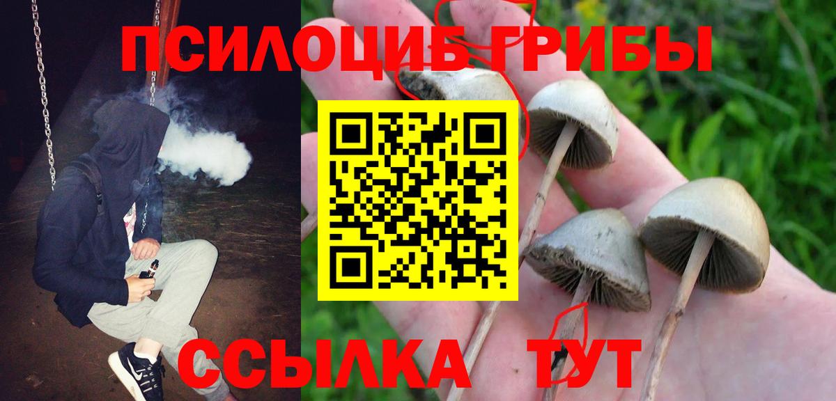 Псилоцибиновые грибы GOLDEN TEACHER Донецк